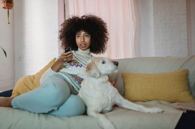 Un chien détendu sur un canapé d'appartement