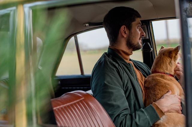 Un homme et son chien assis dans une voiture, le regard vers la fenêtre